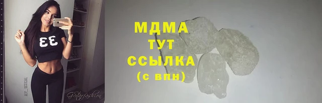 прущие грибы Галич