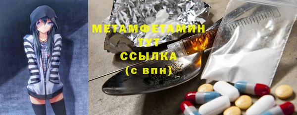 прущие грибы Галич