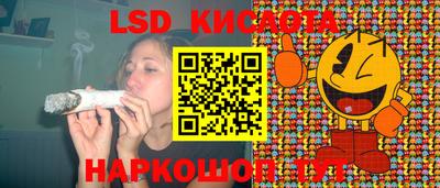 гидра Кингисепп