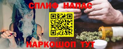 гидра Кингисепп